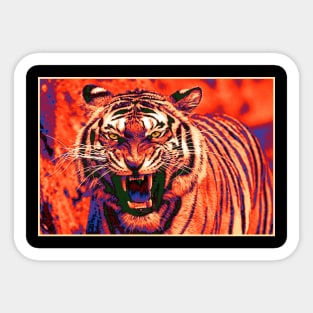 Tiger Pop art 8 Sticker